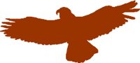 BIRDS019.WMF