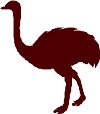 BIRDS018.WMF