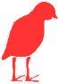 BIRDS016.WMF