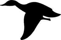 BIRDS009.WMF