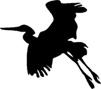 BIRDS007.WMF