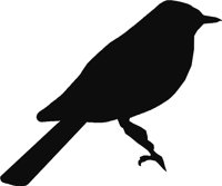 BIRDS004.WMF