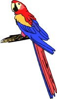 BIRD105.WMF