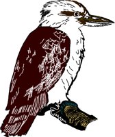 BIRD104.WMF