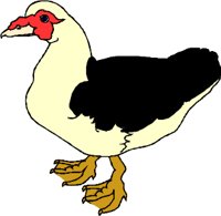 BIRD101.WMF