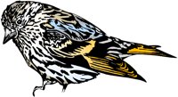 BIRD093.WMF