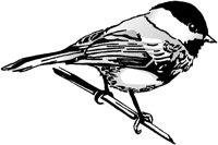 BIRD089.WMF