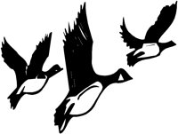 BIRD088.WMF