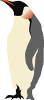 BIRD081.WMF