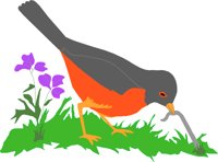 BIRD080.WMF