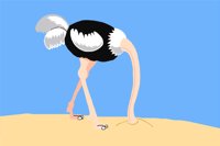 BIRD077.WMF