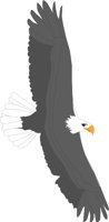 BIRD075.WMF