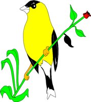 BIRD060.WMF