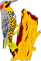 BIRD059.WMF