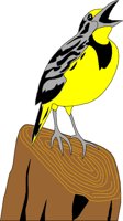 BIRD058.WMF