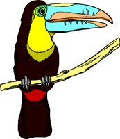 BIRD055.WMF