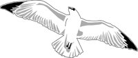 BIRD053.WMF