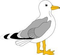 BIRD052.WMF