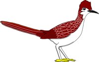 BIRD049.WMF