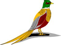 BIRD048.WMF