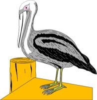 BIRD043.WMF