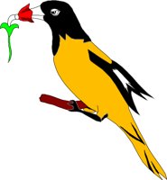BIRD041.WMF