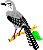 BIRD040.WMF