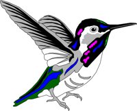 BIRD036.WMF