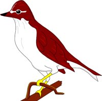 BIRD035.WMF