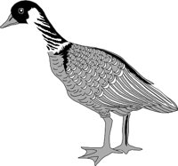 BIRD034.WMF