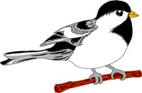 BIRD032.WMF