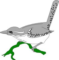 BIRD031.WMF