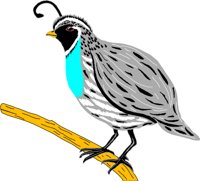 BIRD029.WMF