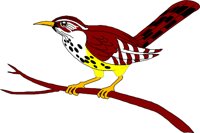 BIRD028.WMF