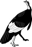 BIRD025.WMF