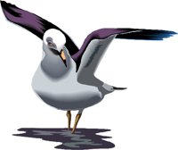 BIRD024.WMF
