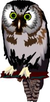 BIRD021.WMF