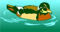 BIRD020.WMF