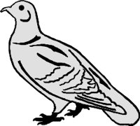 BIRD013.WMF
