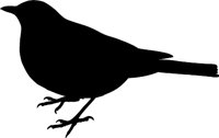 BIRD.WMF