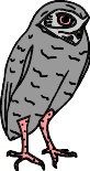 BARNOWL.WMF