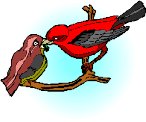 AN17830.WMF