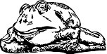 Froggie.WMF