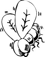 Bombfly.WMF