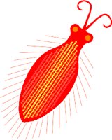 41BUG.WMF