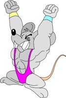 Maus_02.wmf