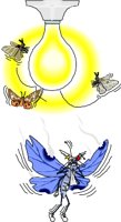 MOTHS.WMF