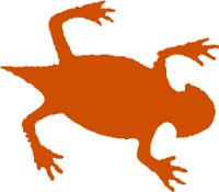 LIZARD5.WMF