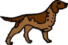 doghunt.WMF