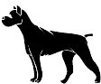 dog5.WMF